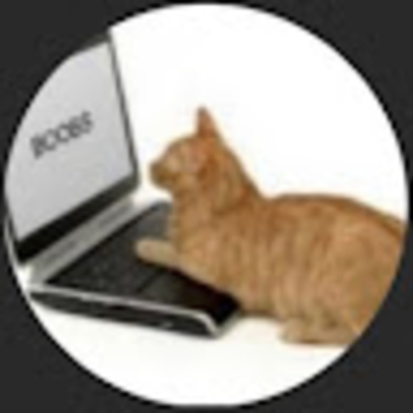 Meet your Posher, Max - Picture 1 of 1